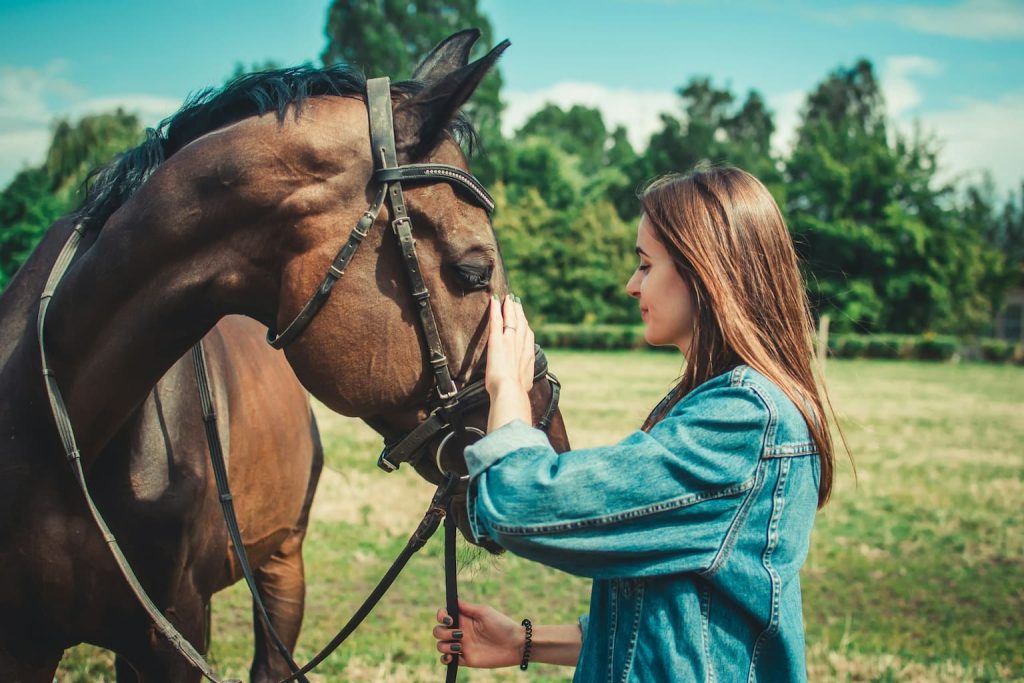Lovaglás előtti ismerkedés, a fiatal lány a lovat simogatja
